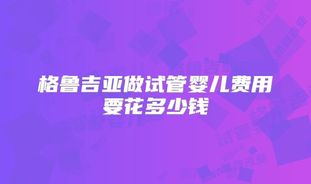 格鲁吉亚做试管婴儿费用要花多少钱