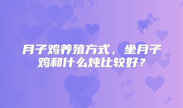 月子鸡养殖方式,坐月子鸡和什么炖比较好?