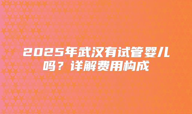 2025年武汉有试管婴儿吗？详解费用构成