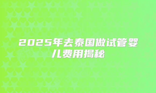 2025年去泰国做试管婴儿费用揭秘