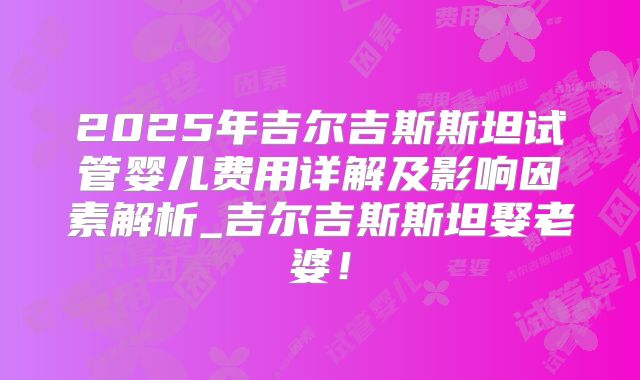 2025年吉尔吉斯斯坦试管婴儿费用详解及影响因素解析_吉尔吉斯斯坦娶老婆！