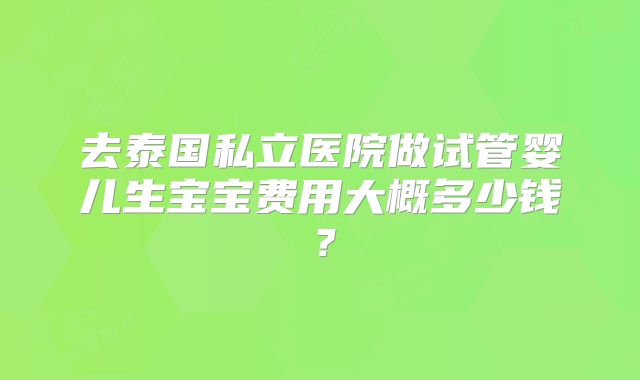 去泰国私立医院做试管婴儿生宝宝费用大概多少钱？