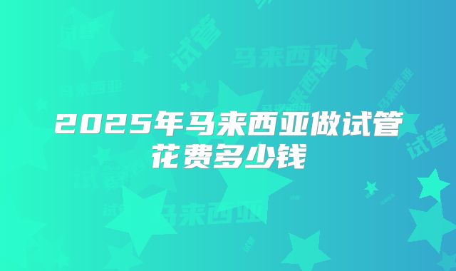 2025年马来西亚做试管花费多少钱