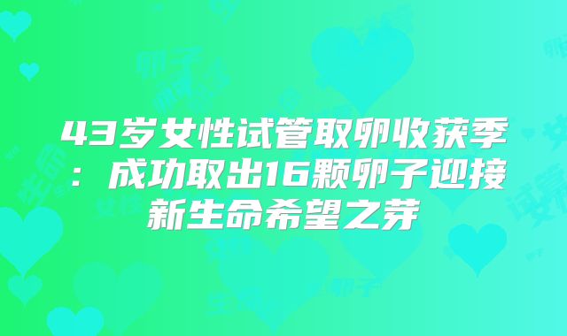 43岁女性试管取卵收获季:成功取出16颗卵子迎接新生命希望之芽
