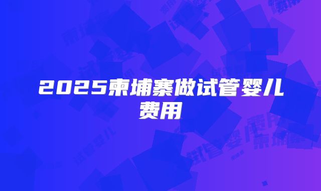 2025柬埔寨做试管婴儿费用