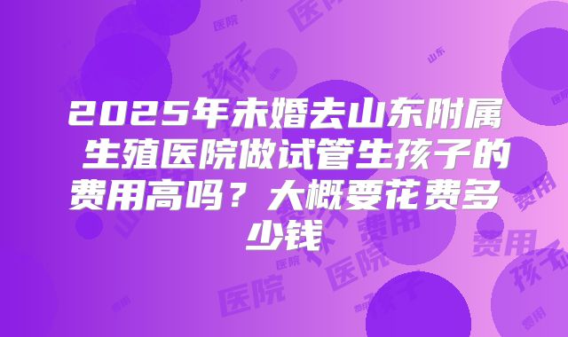 2025年未婚去山东附属 生殖医院做试管生孩子的费用高吗？大概要花费多少钱