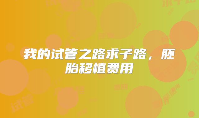 我的试管之路求子路，胚胎移植费用