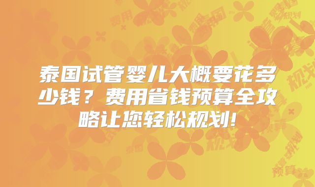 泰国试管婴儿大概要花多少钱？费用省钱预算全攻略让您轻松规划!