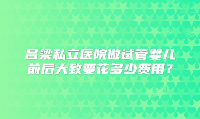 吕梁私立医院做试管婴儿前后大致要花多少费用？