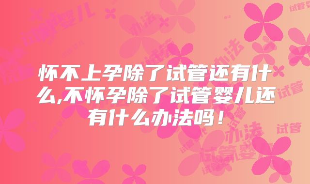 怀不上孕除了试管还有什么,不怀孕除了试管婴儿还有什么办法吗！