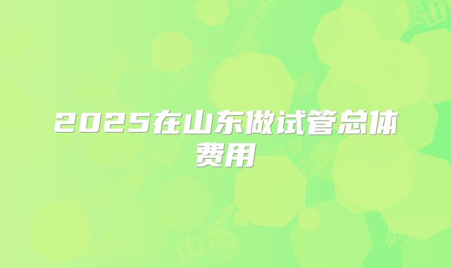 2025在山东做试管总体费用