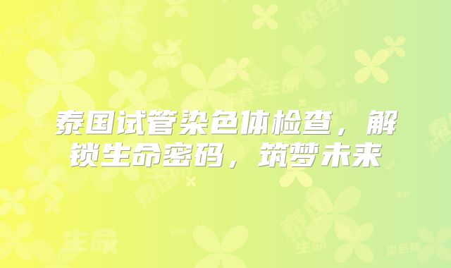 泰国试管染色体检查，解锁生命密码，筑梦未来