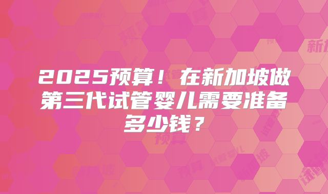 2025预算！在新加坡做第三代试管婴儿需要准备多少钱？