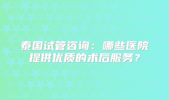 泰国试管咨询:哪些医院提供优质的术后服务?
