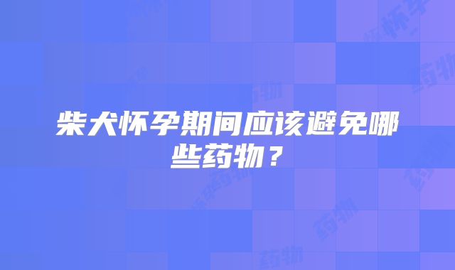 柴犬怀孕期间应该避免哪些药物?