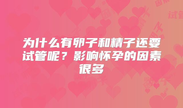 为什么有卵子和精子还要试管呢？影响怀孕的因素很多