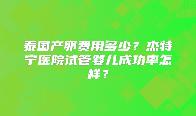泰国产卵费用多少？杰特宁医院试管婴儿成功率怎样？