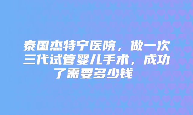 泰国杰特宁医院，做一次三代试管婴儿手术，成功了需要多少钱  