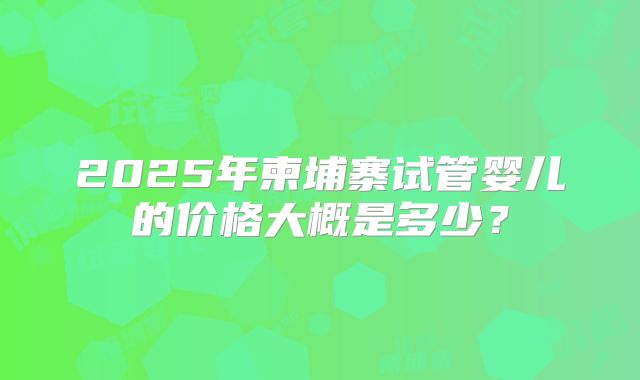 2025年柬埔寨试管婴儿的价格大概是多少?