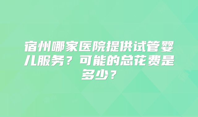 宿州哪家医院提供试管婴儿服务?可能的总花费是多少?