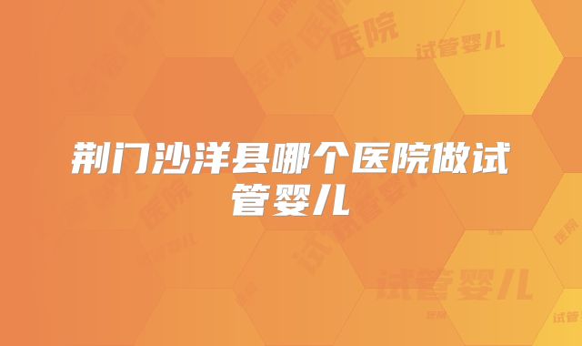 荆门沙洋县哪个医院做试管婴儿