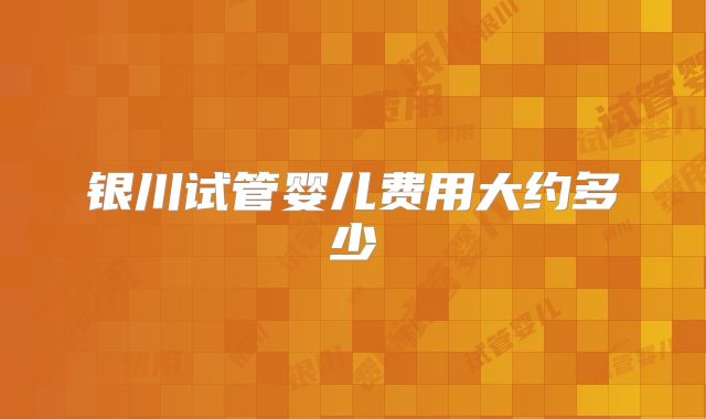 银川试管婴儿费用大约多少