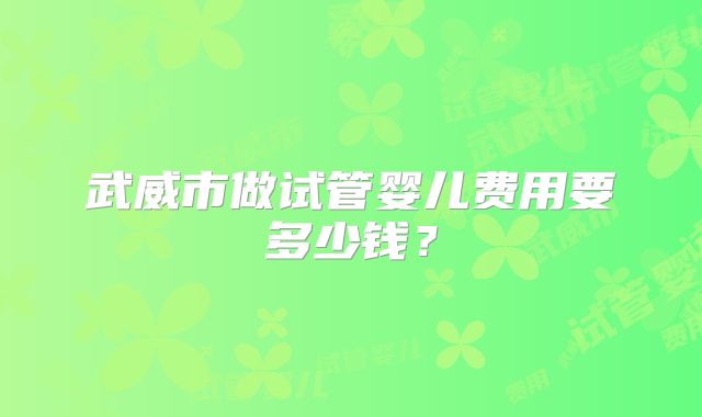 武威市做试管婴儿费用要多少钱？