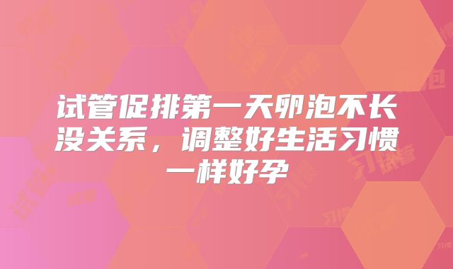 试管促排第一天卵泡不长没关系，调整好生活习惯一样好孕