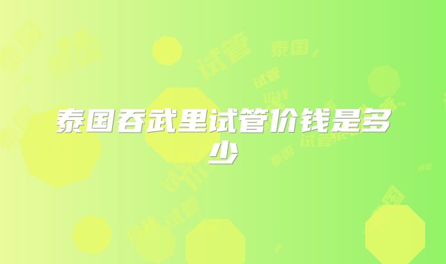 泰国吞武里试管价钱是多少
