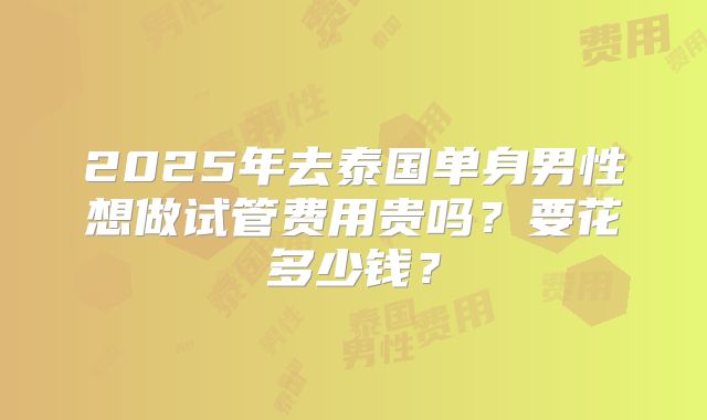 2025年去泰国单身男性想做试管费用贵吗？要花多少钱？