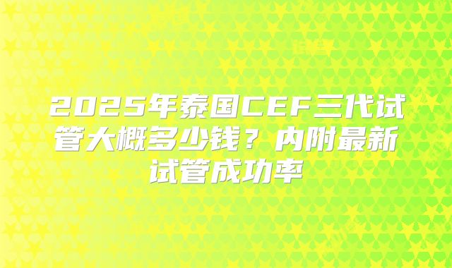 2025年泰国CEF三代试管大概多少钱？内附最新试管成功率