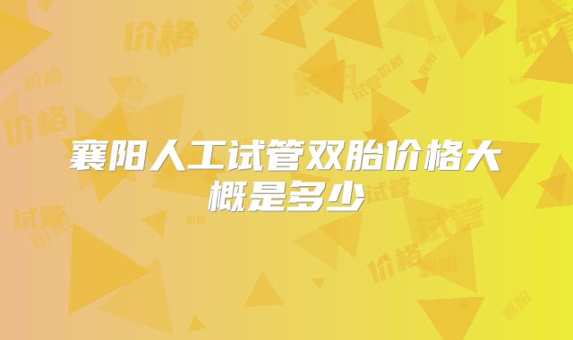 襄阳人工试管双胎价格大概是多少