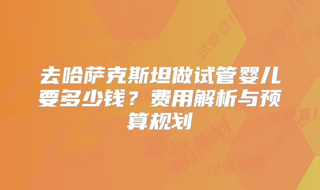 去哈萨克斯坦做试管婴儿要多少钱？费用解析与预算规划