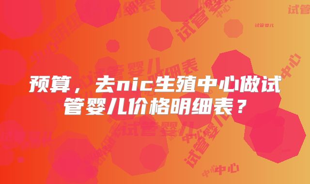 预算,去nic生殖中心做试管婴儿价格明细表?