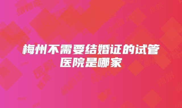 梅州不需要结婚证的试管医院是哪家