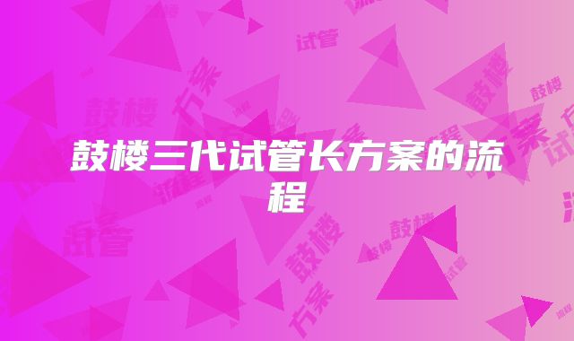 鼓楼三代试管长方案的流程