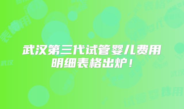 武汉第三代试管婴儿费用明细表格出炉！
