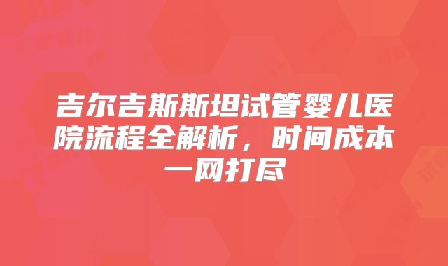吉尔吉斯斯坦试管婴儿医院流程全解析,时间成本一网打尽