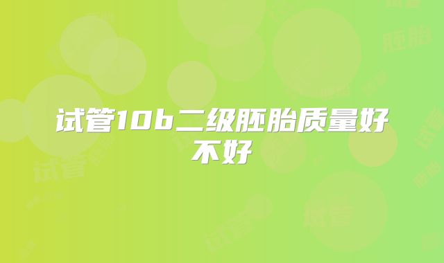 试管10b二级胚胎质量好不好