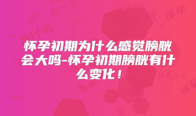 怀孕初期为什么感觉膀胱会大吗-怀孕初期膀胱有什么变化！