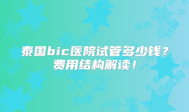 泰国bic医院试管多少钱？费用结构解读！