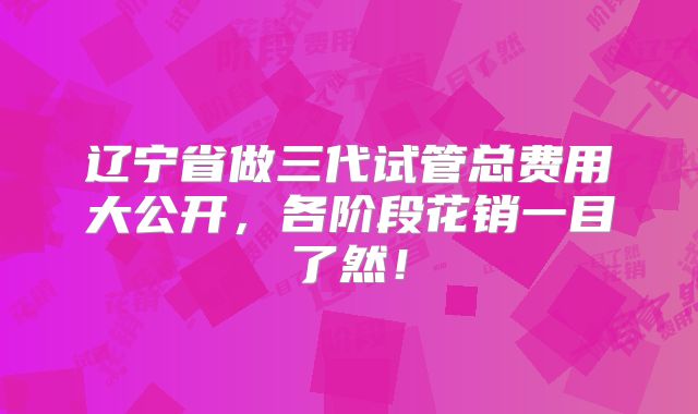 辽宁省做三代试管总费用大公开，各阶段花销一目了然！