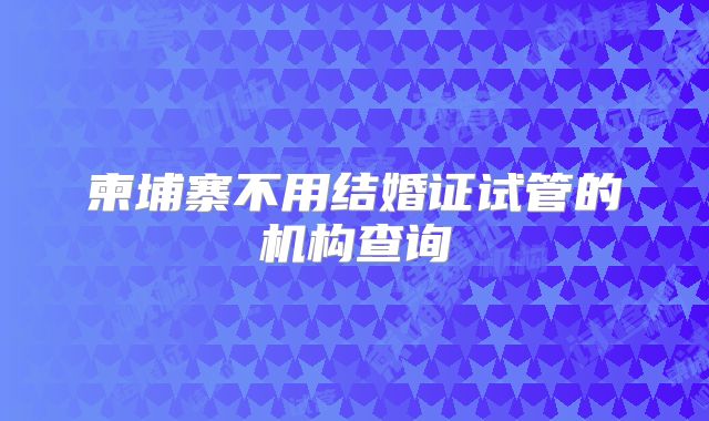 柬埔寨不用结婚证试管的机构查询