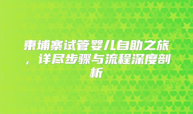 柬埔寨试管婴儿自助之旅，详尽步骤与流程深度剖析