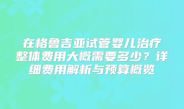 在格鲁吉亚试管婴儿治疗整体费用大概需要多少？详细费用解析与预算概览