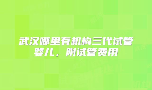 武汉哪里有机构三代试管婴儿，附试管费用