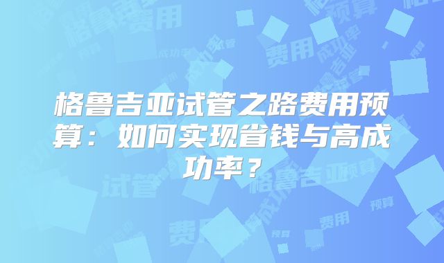 格鲁吉亚试管之路费用预算：如何实现省钱与高成功率？