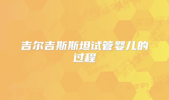 吉尔吉斯斯坦试管婴儿的过程
