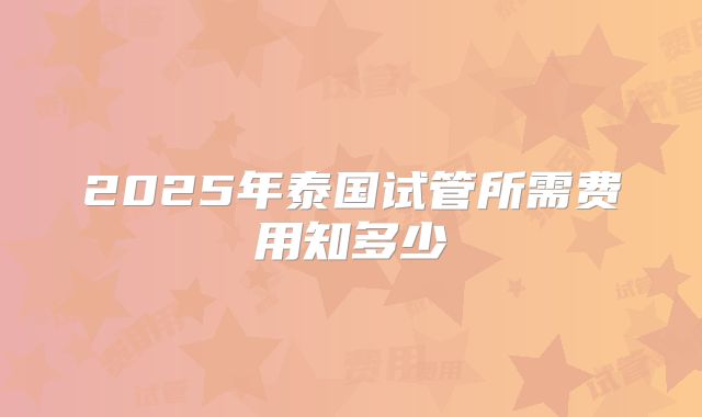 2025年泰国试管所需费用知多少