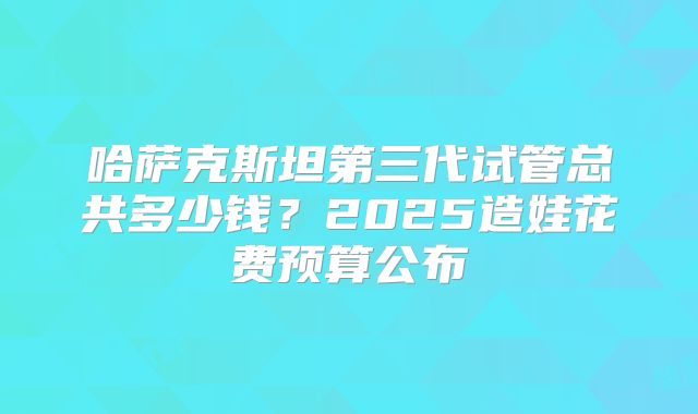 哈萨克斯坦第三代试管总共多少钱？2025造娃花费预算公布